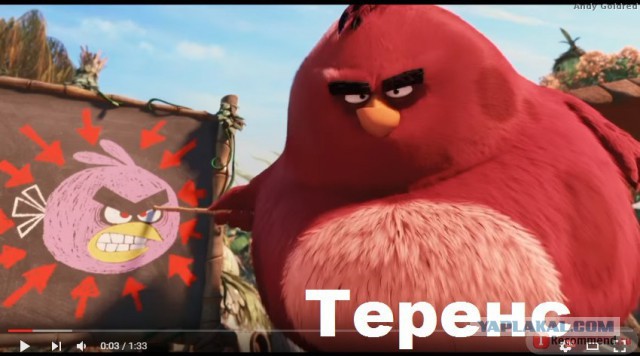 Суровый синиц