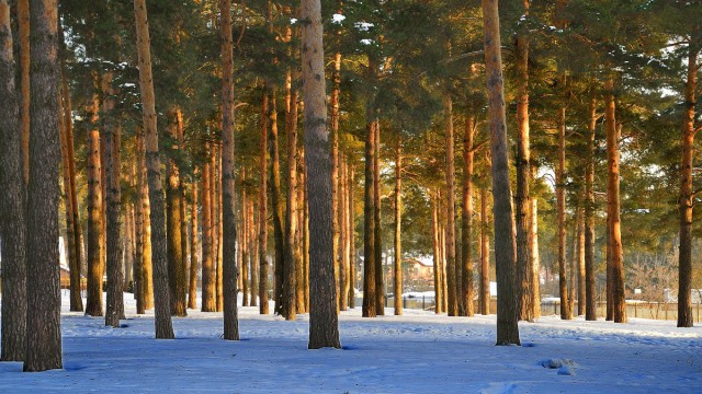 Моменты, запечатлённые на фото и просто позитив 5