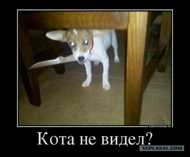 Вмятина