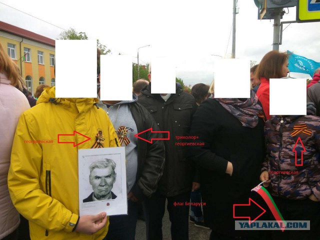 Верховная Рада запретила георгиевскую ленту на Украине