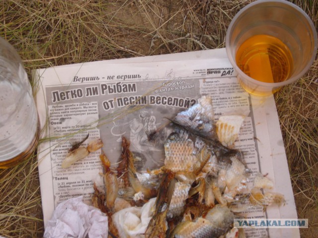 Мой поток сознания!