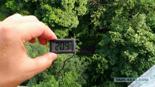 А какая у вас температура за окном?