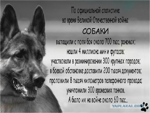 Подборка интересных и веселых картинок