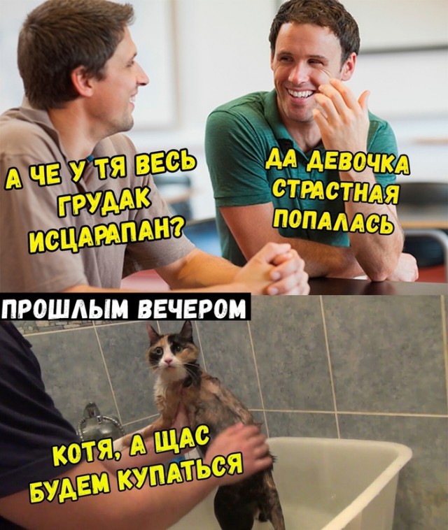 Прикольные картинки обо всем