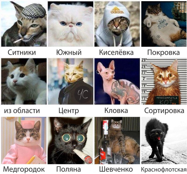 Уральская художница изобразила российские города в образе героев аниме