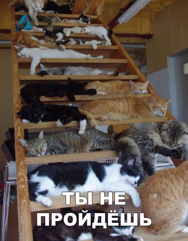 Нестандартный юмор