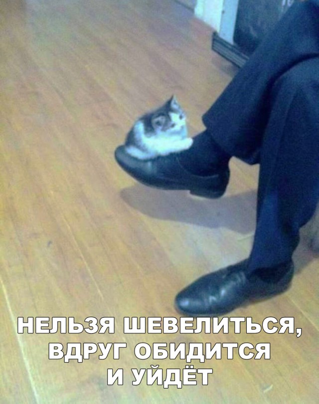 Немного милоты