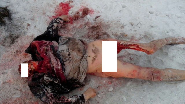 В Самаре стая бродячих собак напала на девушку, это увидели парни на машине и решили не проезжать мимо