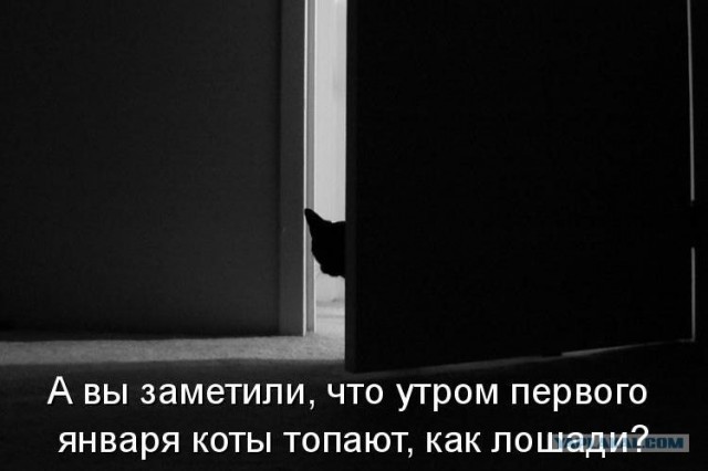 Мой хозяин...