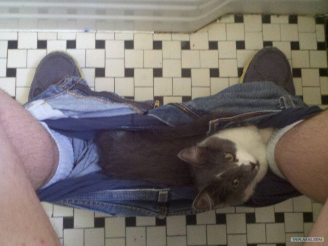 Сидишь, никому не мешаешь......