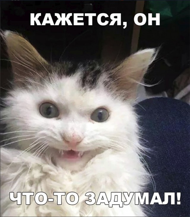 Нестандартный юмор