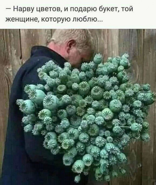 Картинки с надписями