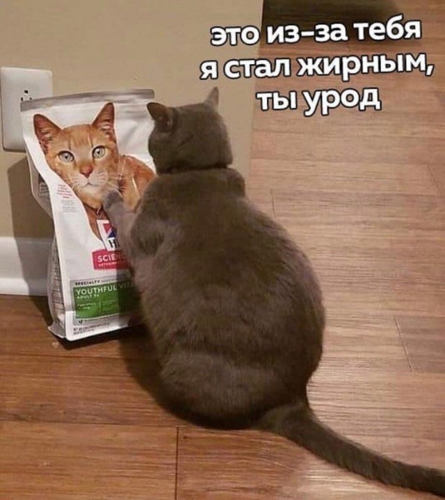 Картинки с надписями и анекдоты 17.09.19