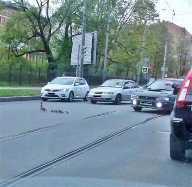 Даёшь картинкой по понедельнику
