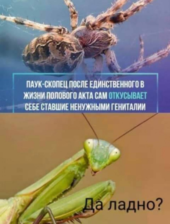Бредзона 18.01.20