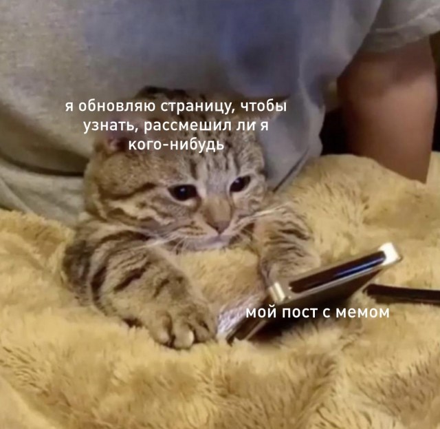 Немного картинок с надписями и без - 42