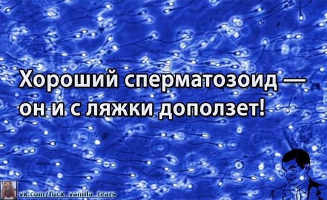 Пара-пара-пам! Фьють!