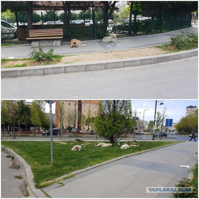 Типичные вещи для Южной Кореи, которые удивляют весь остальной мир