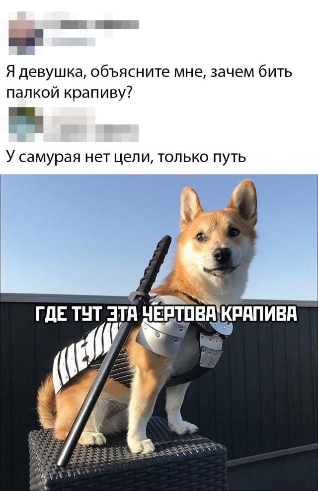 Немного картинок для настроения 01.07.20