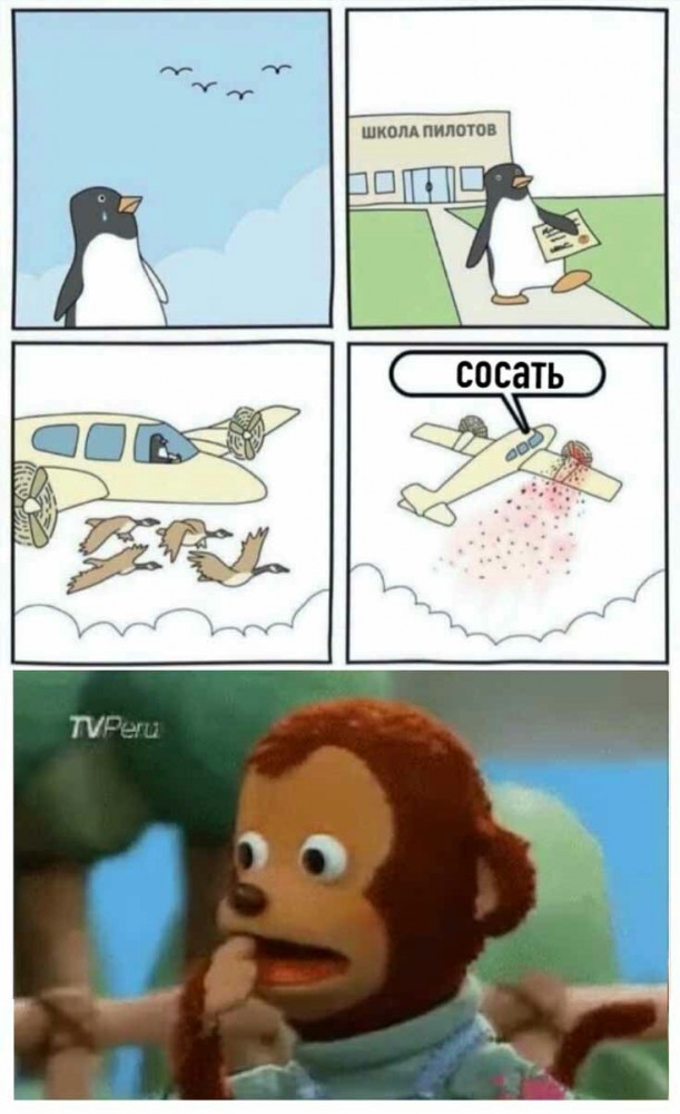 Бредзона 12.07.2020