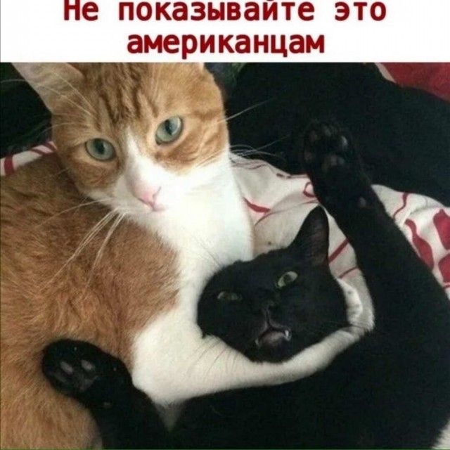 Отовсюду обо всем