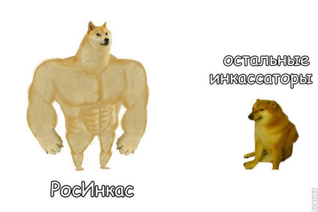 А если бы вёз патроны