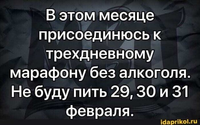 Алкопост 13.02.21 (деградация)