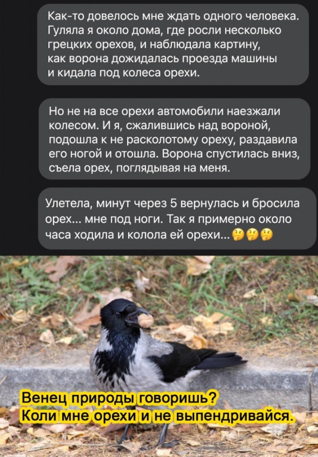 Картинки и мемы для настроения 09.06.2021