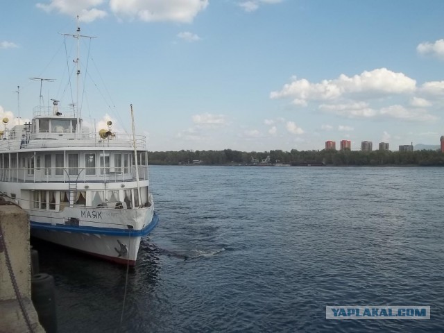 Живу в Красноярске