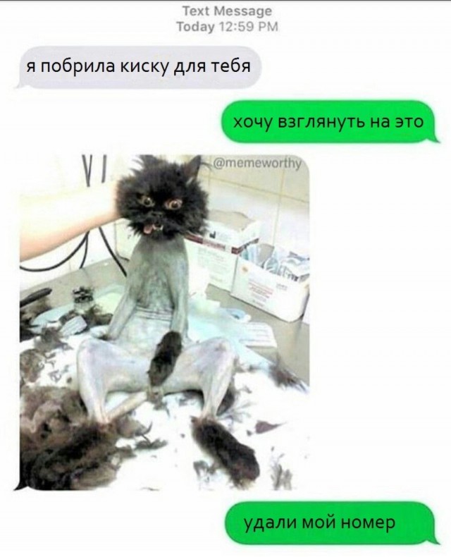 Пятница. И немного слегка пошлых картинок с надписями и без 16+ (13.08))
