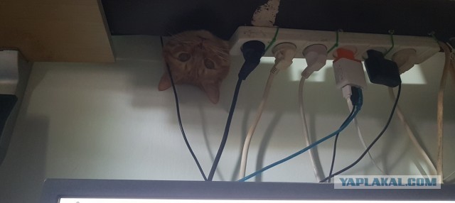 Кто здесь?!