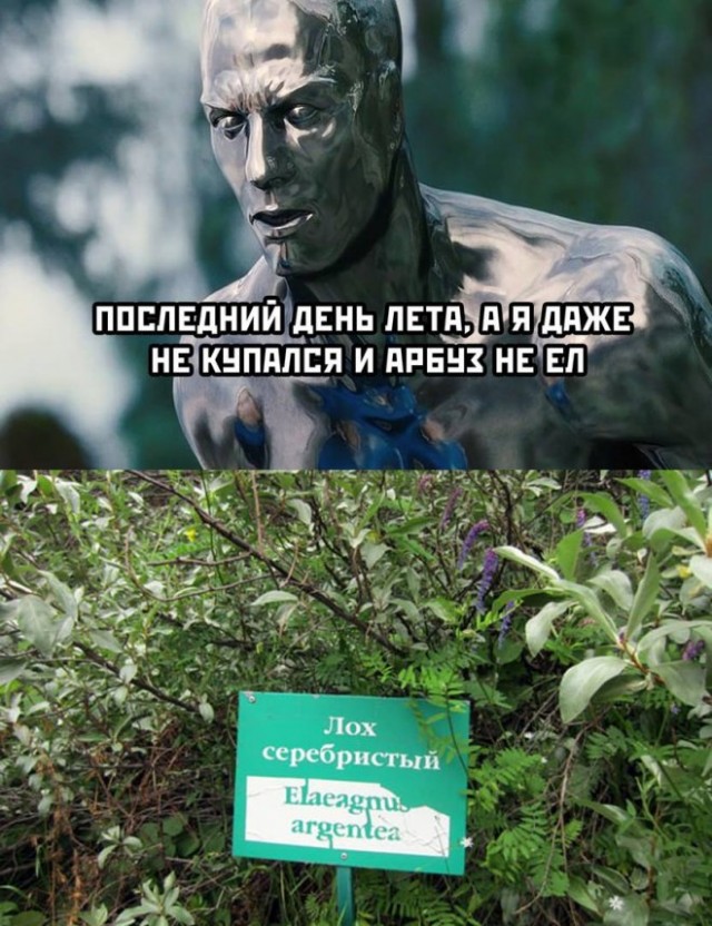 Картинки и мемы для настроения 31.08.2021