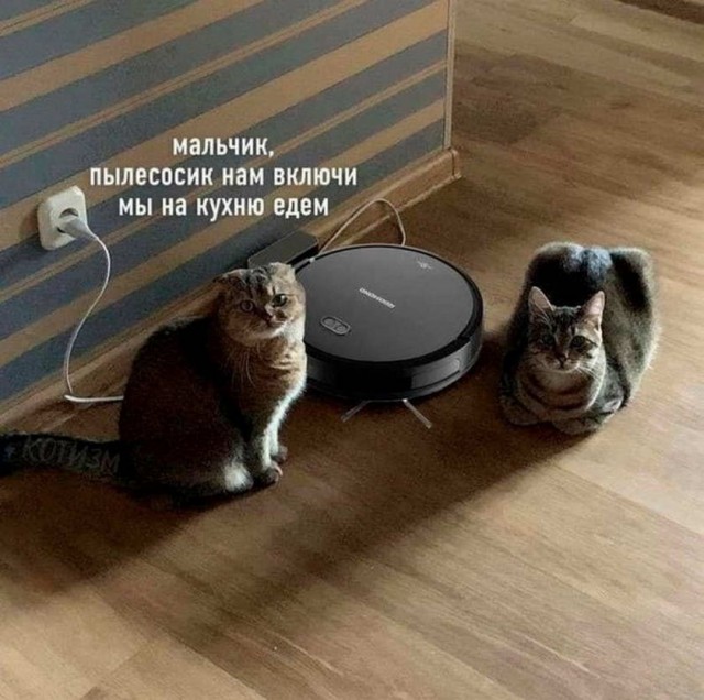 Картинки и мемы для настроения 27.09.2021