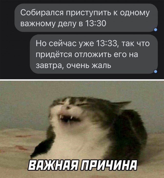 Весёлый полтишок 22.10