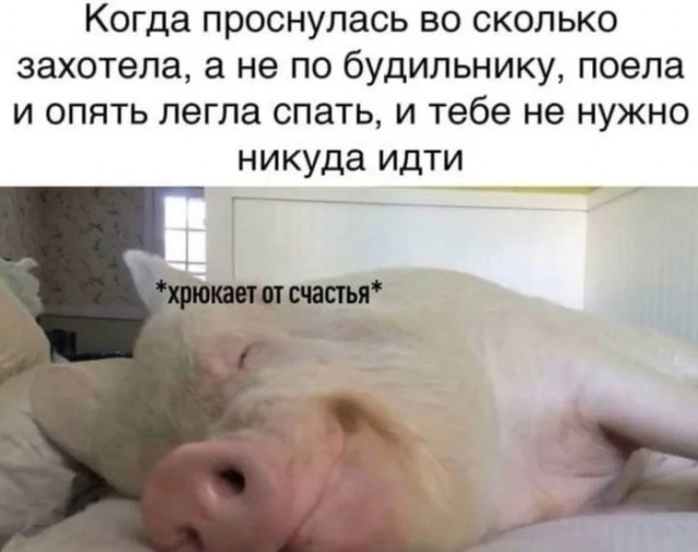 Картинки 23.10.21