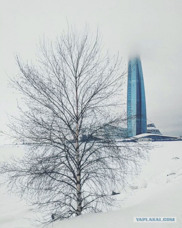 Как спасти сына от бл*дского долбоящера?