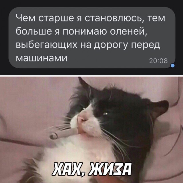 Весёлый полтишок 13.03.22