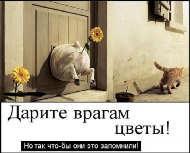 Картинки со смыслом