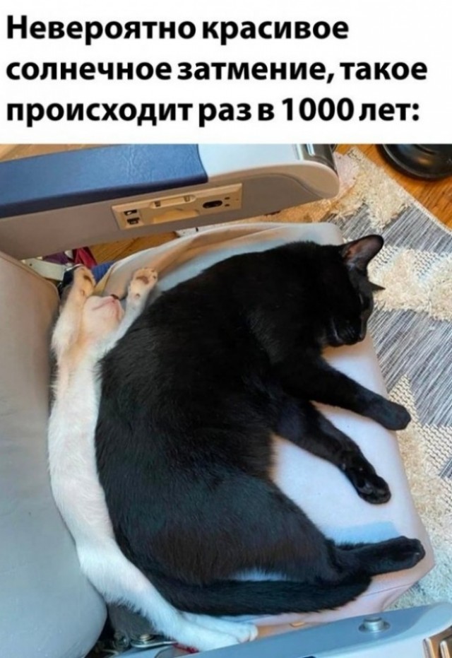 Немного картинок для настроения - 137