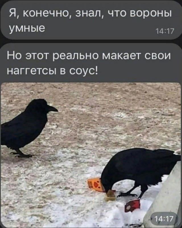 Так себе картинки 22.01.23