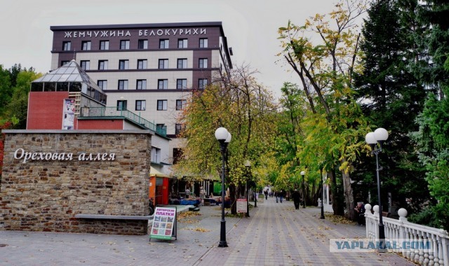 Маньчжурский орех