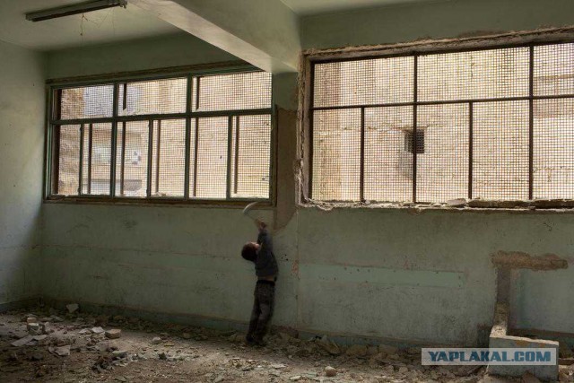 Есть ли жизнь в Алеппо?