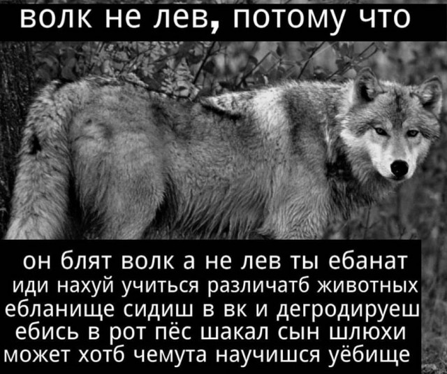Бесит, когда срёшь на рельсы, показывая дух бунтарства и свободы, а тебе мешают волки