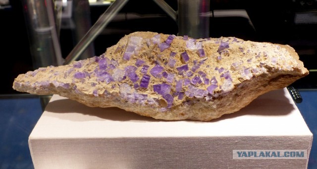Mineralientage München 2018