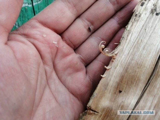 Рукоделия пост