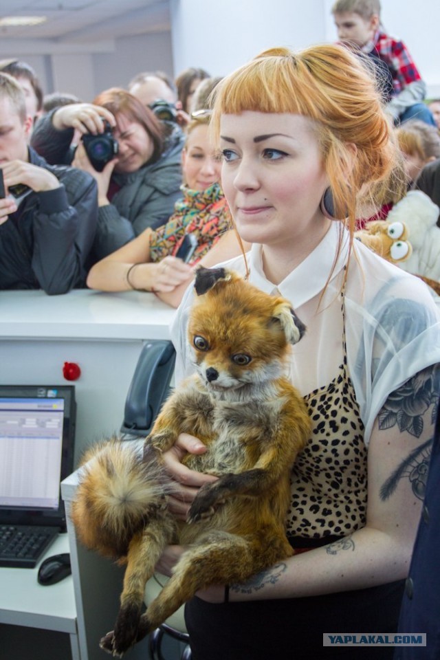 С чего всё началось...