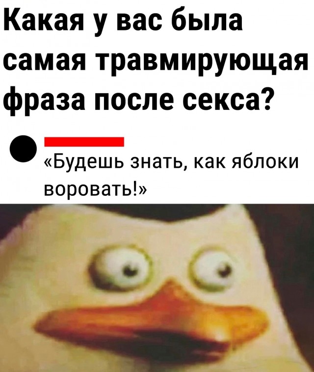 Весёлый полтишок 07.08.23