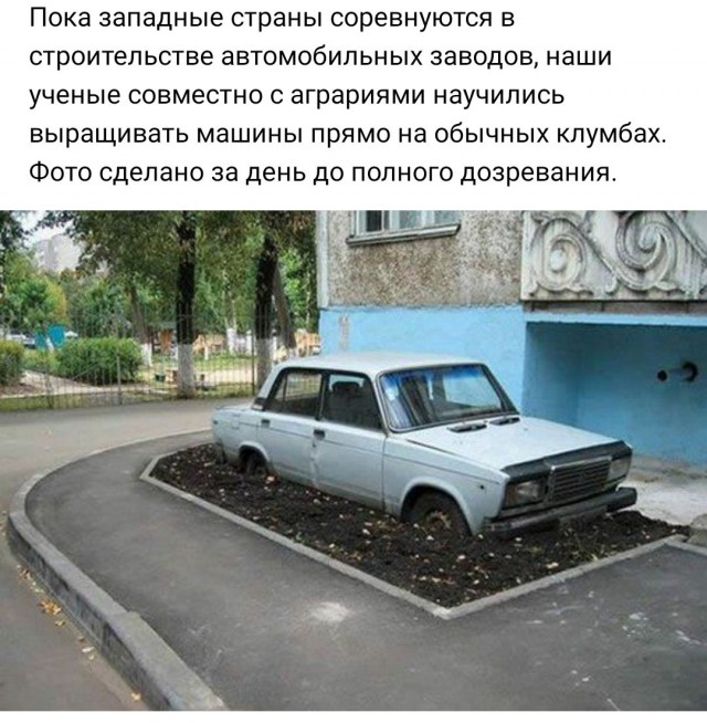 Юморески в JPG