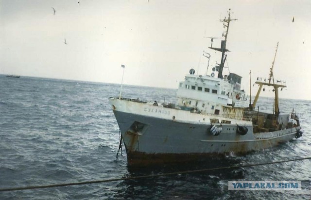 МореЯПа