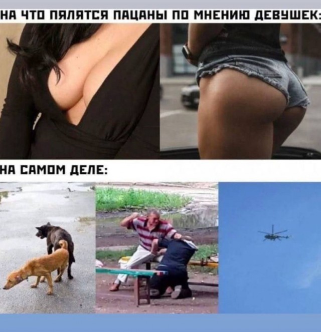 Отряд быстрого деградирования